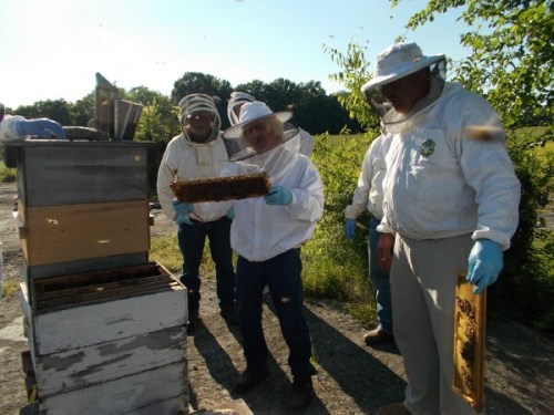 Field training at the recent TDA / WCBA Inspectors class