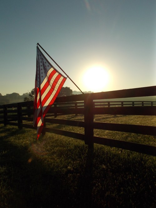 shlester_happyfourth-20130704