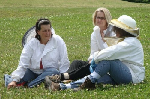 Without the Queen, there is no colony... only chaos. 